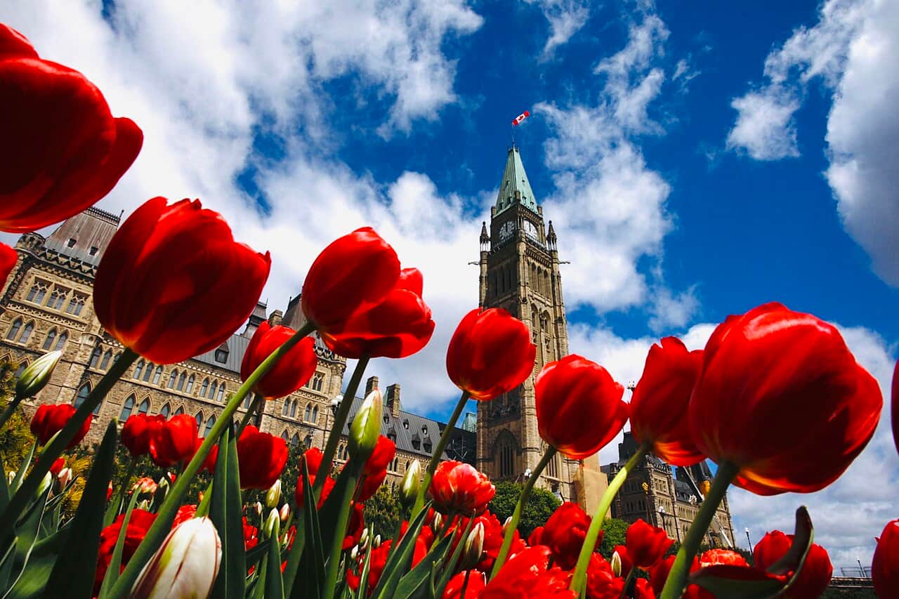 Culture francophone et immigration au Canada : le guide pratique